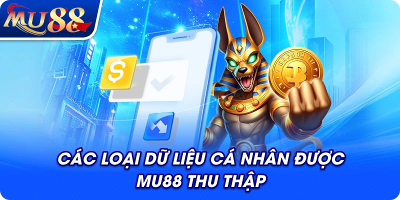 Các loại dữ liệu cá nhân được MU88 thu thập