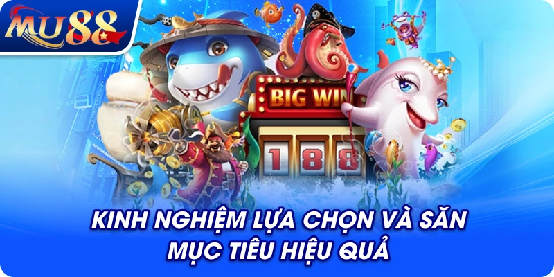 Kinh nghiệm lựa chọn và săn mục tiêu hiệu quả